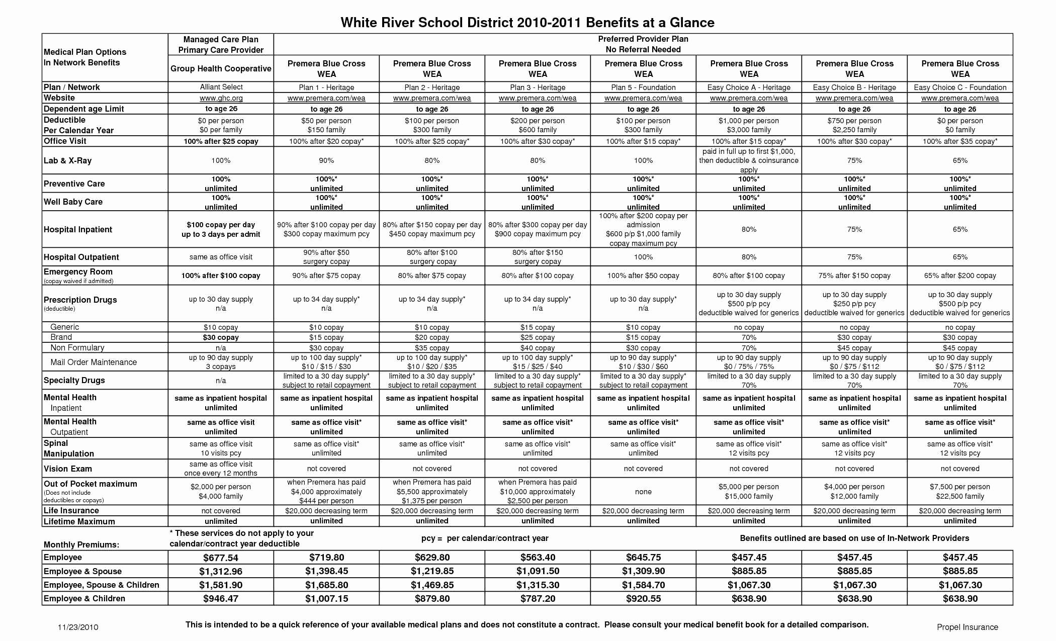 100 Day Plan Template Excel Elegant 10 Marketingplan Muster