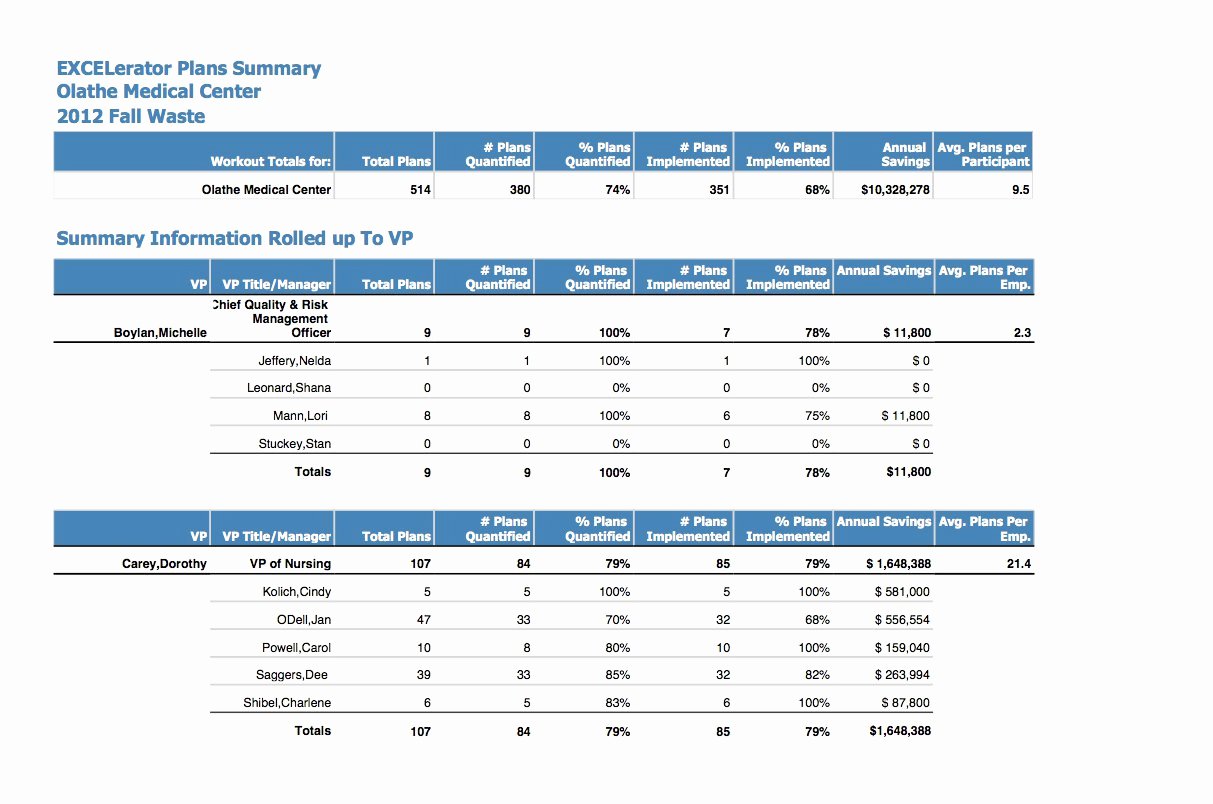 100 Day Plan Template Excel Fresh 19 Of 100 Day Plan Template