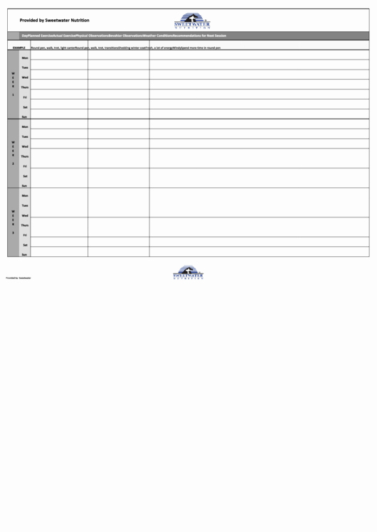 7 Day Planner Template Luxury 7 Day Weekly Planner Template Printable Pdf