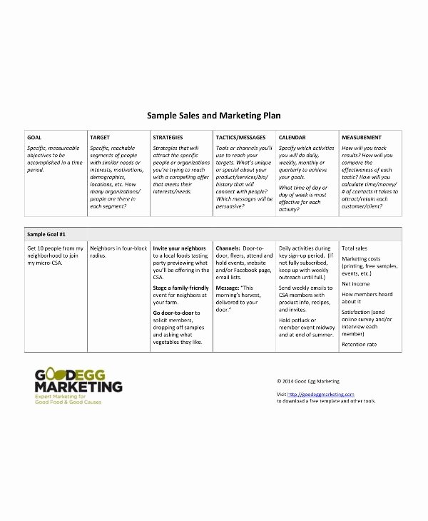 90 Day Marketing Plan Template Lovely 11 90 Day Sales Plan Examples Pdf Docs