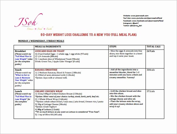 90 Day Planner Template Unique 90 Day Plan Template 14 Free Word Pdf Documents