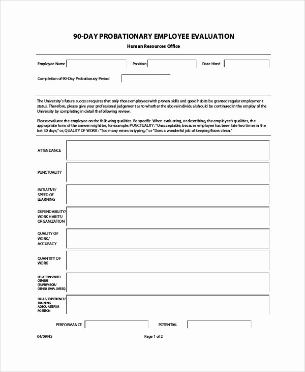 90 Day Work Plan Template Best Of Sample Employee Evaluation form In Pdf 9 Examples In Pdf