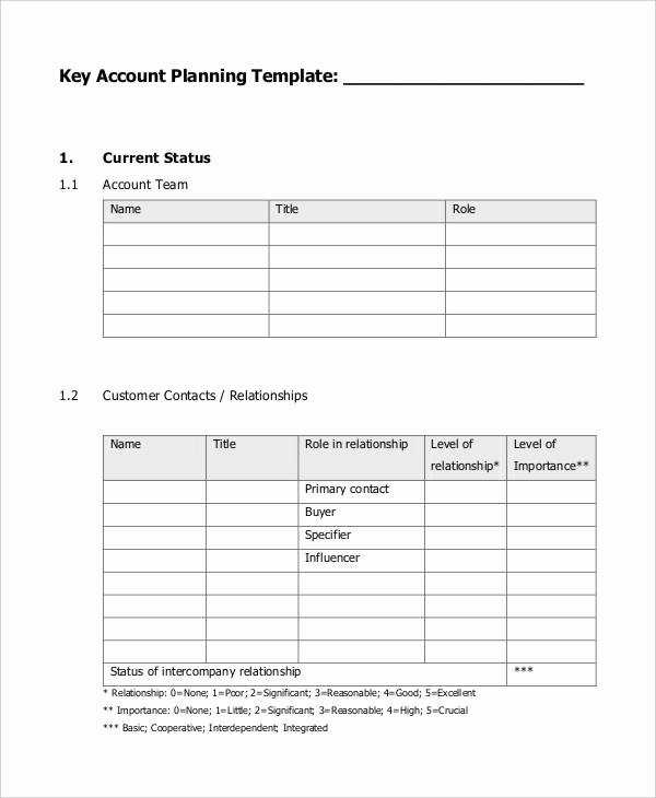 Account Management Plan Template Awesome 7 Strategic Account Plan Templates Free Sample Example