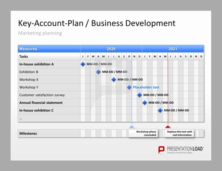 Account Management Plan Template Beautiful Account Plan Template Ppt Amsauh