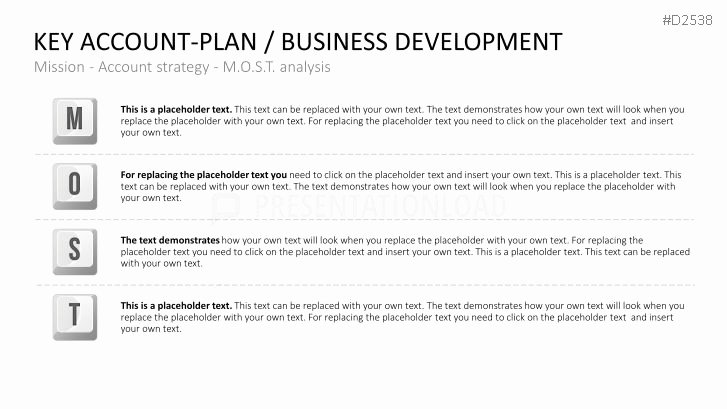 Account Management Plan Template Best Of Account Management Business Plan