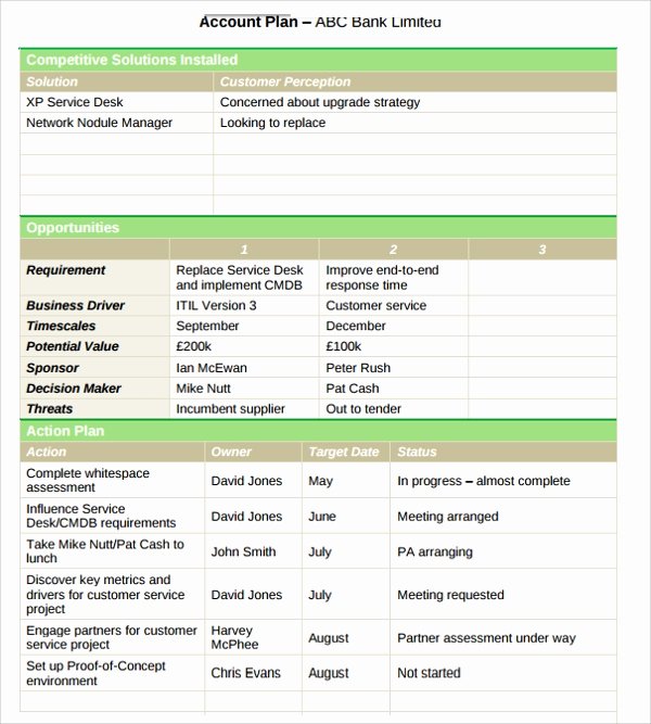 Account Management Plan Template Best Of Sample Account Plan Template 16 Documents In Pdf Word