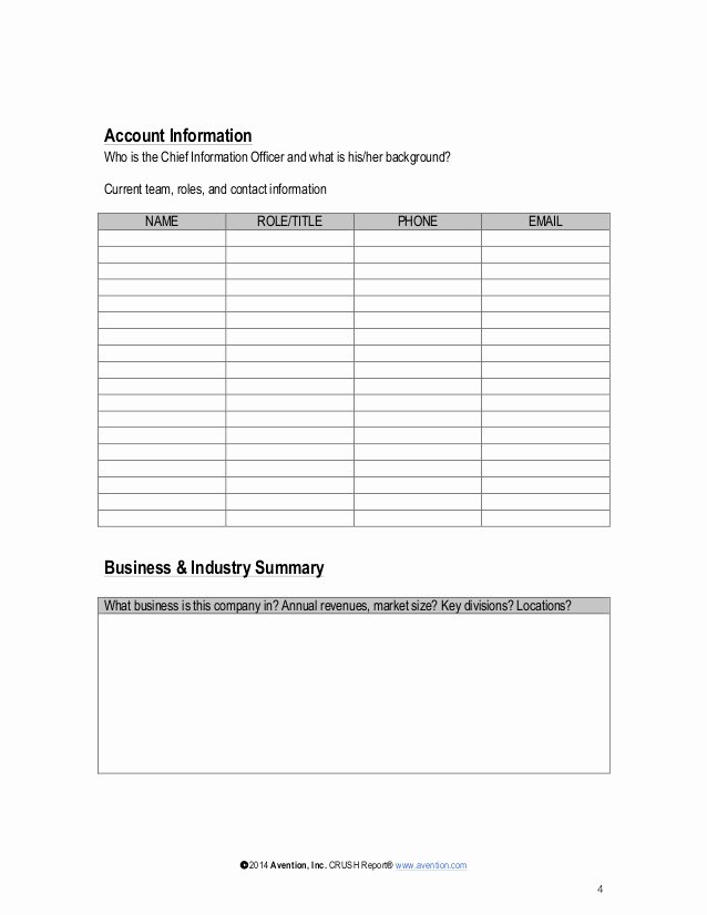 Account Management Plan Template Inspirational Strategic Account Plan Template