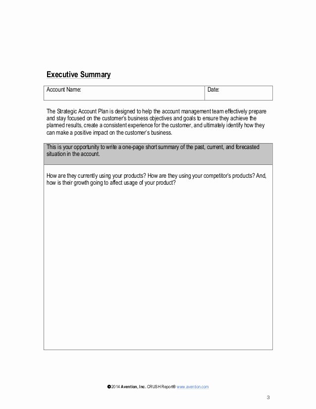 Account Management Plan Template Inspirational Strategic Account Plan Template