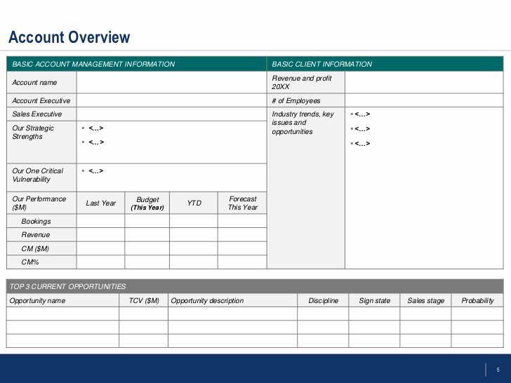 Account Management Plan Template Luxury Flevy Account Management Templates