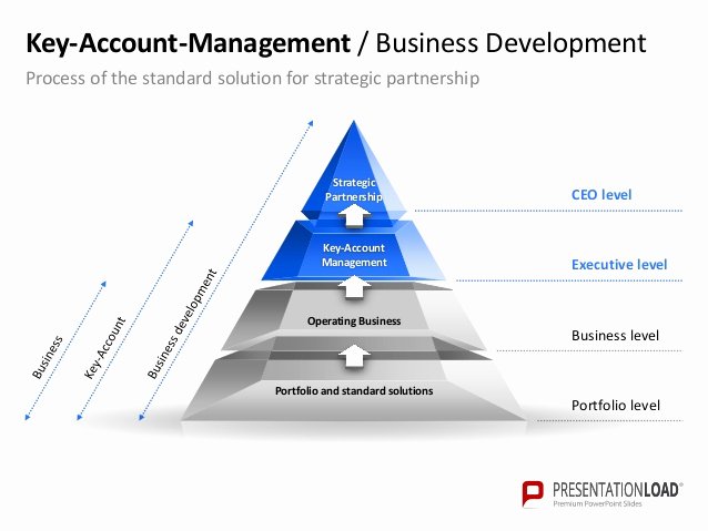 Account Management Plan Template New Account Plan Template Ppt Amsauh