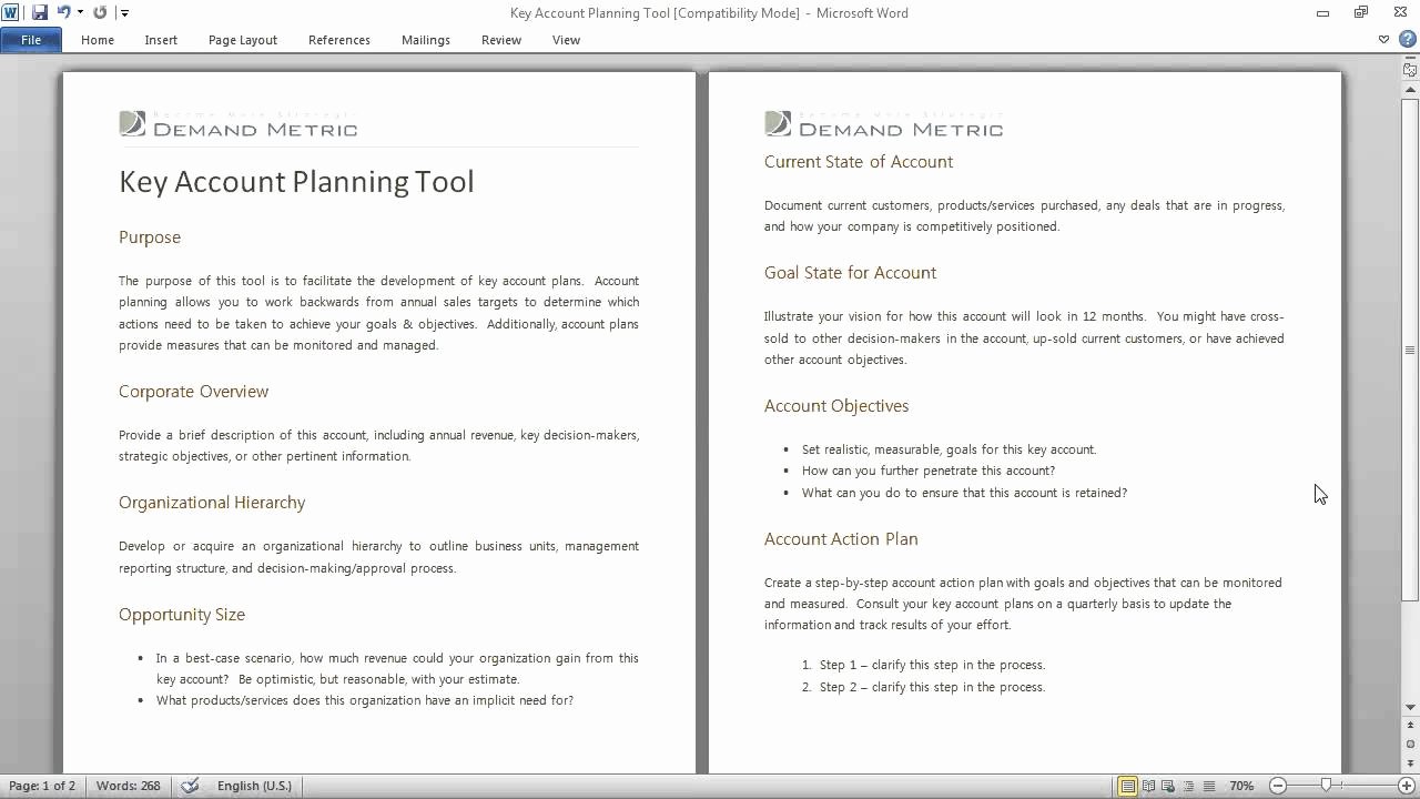 Account Management Plan Template New Key Account Planning tool