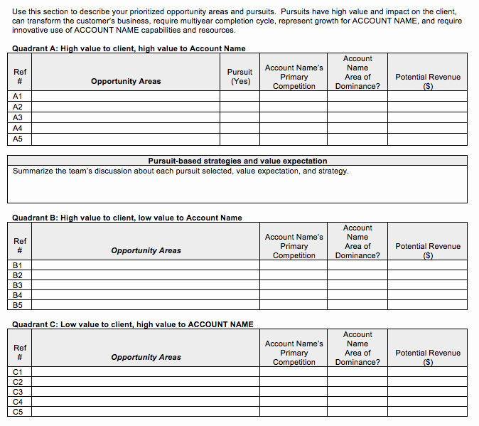 Account Management Plan Template Unique Go to Market Strategy Strategic Account Plan Template