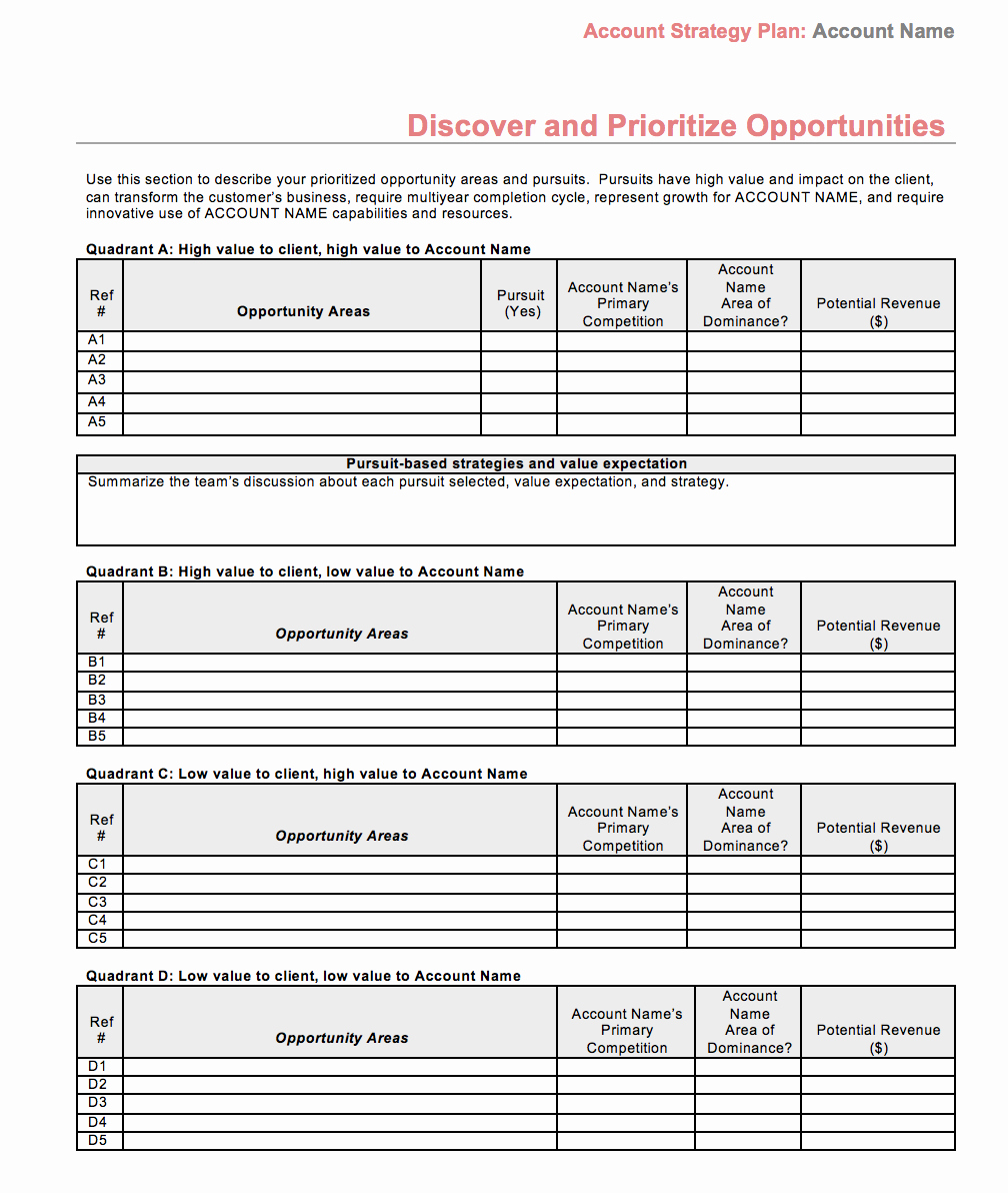 Account Management Plan Template Unique Strategic Account Plan Template