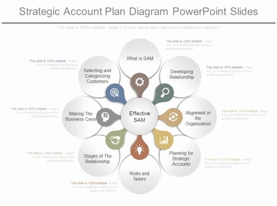 Account Plan Template Ppt Best Of App Strategic Account Plan Diagram Powerpoint Slides