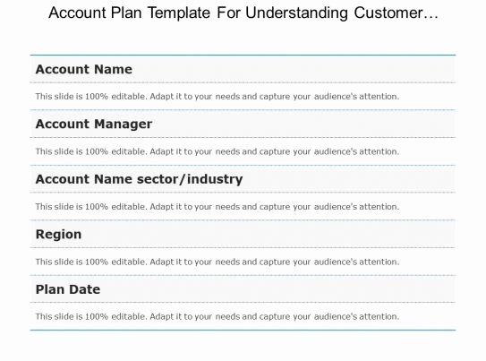 Account Plan Template Ppt Elegant Account Plan Template for Understanding Customer Business