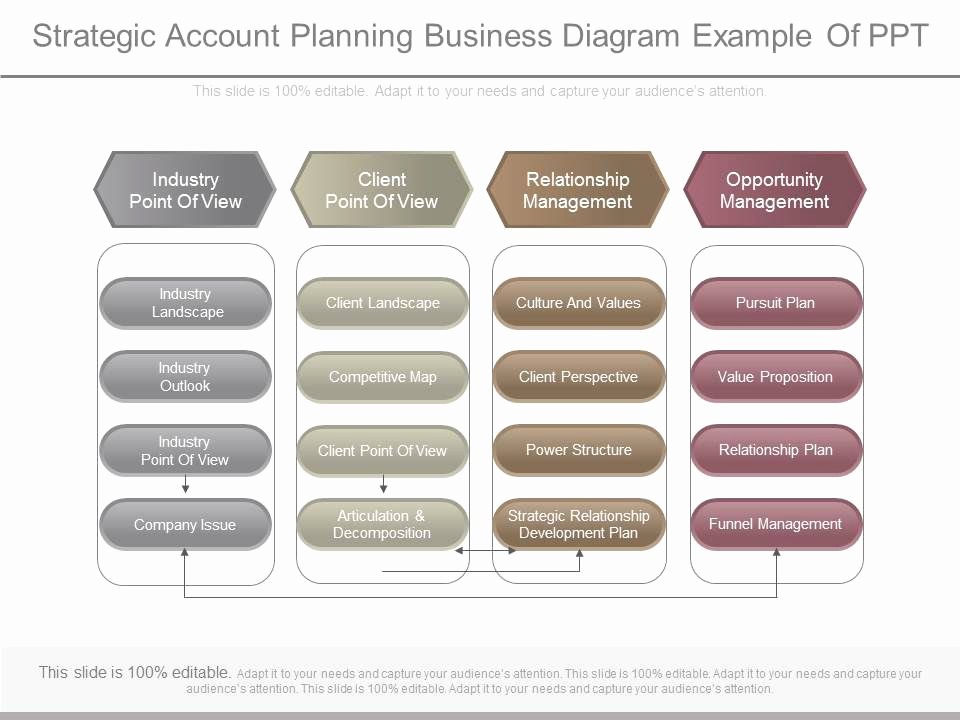 Account Plan Template Ppt Elegant Apt Strategic Account Planning Business Diagram Example