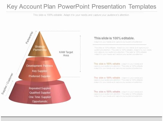 Account Plan Template Ppt Lovely Custom Key Account Plan Powerpoint Presentation Templates