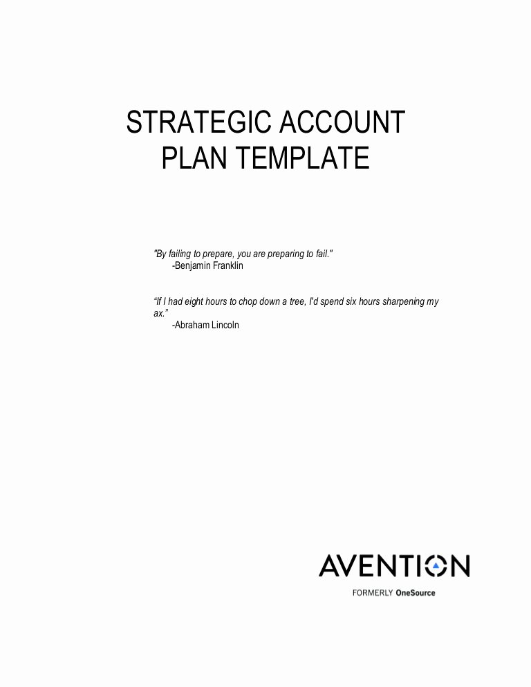 Account Plan Template Ppt Lovely Strategic Account Plan Template