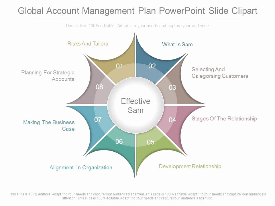 Account Plan Template Ppt Luxury App Global Account Management Plan Powerpoint Slide