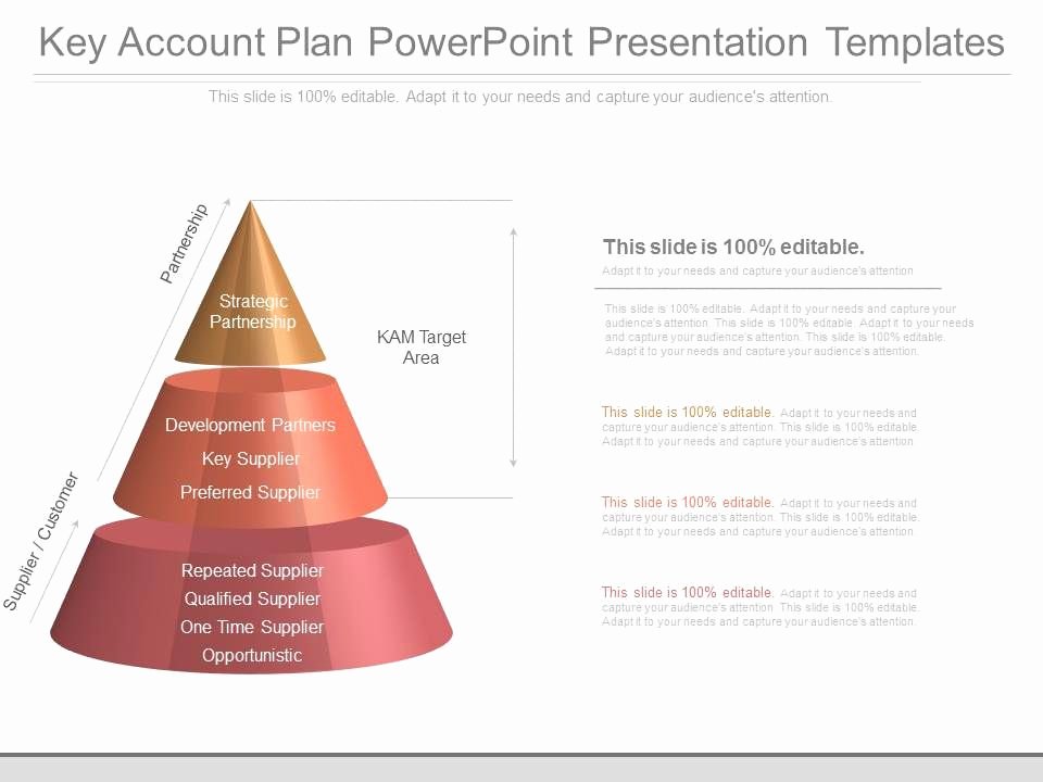 Account Plan Template Ppt Luxury Custom Key Account Plan Powerpoint Presentation Templates