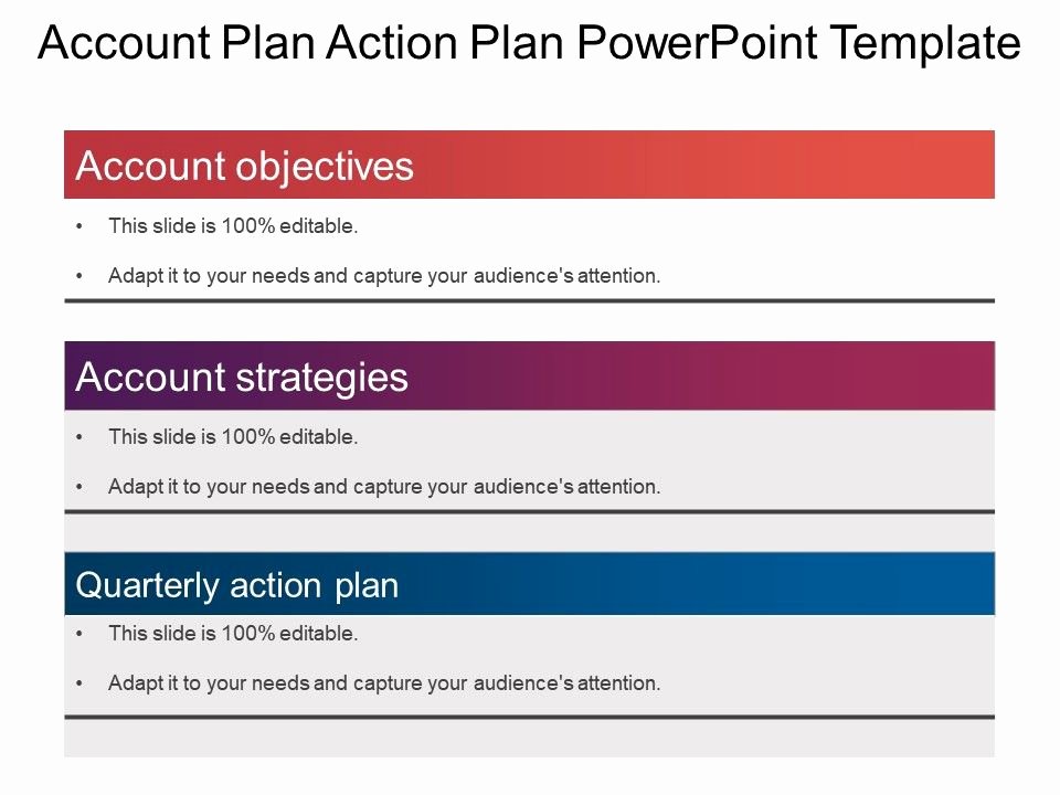 Account Plan Template Ppt New Account Plan Action Plan Powerpoint Template