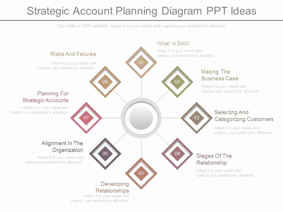 Account Plan Template Ppt Unique App Strategic Account Planning Diagram Ppt Ideas