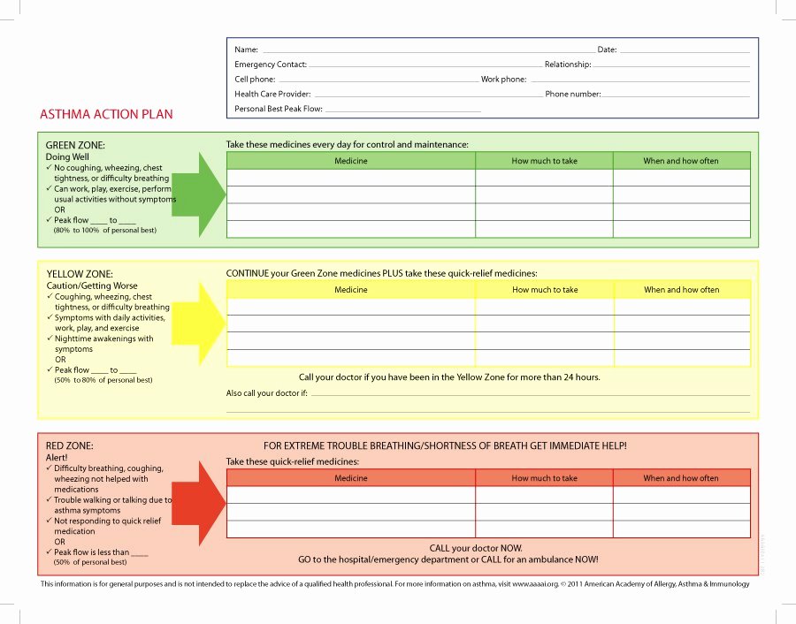 Action Plan Template Excel Awesome 13 Action Plan Templates