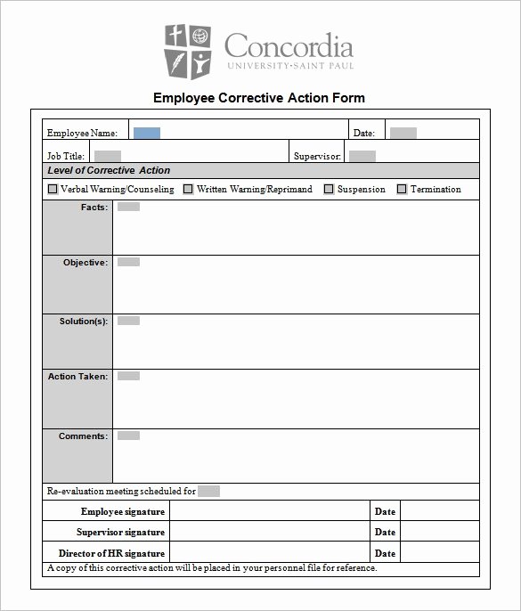 Action Plan Template Excel Beautiful Corrective Action Plan Template