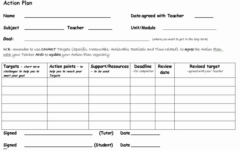 Action Planning Template Excel Luxury 8 Action Plan Templates Excel Pdf formats