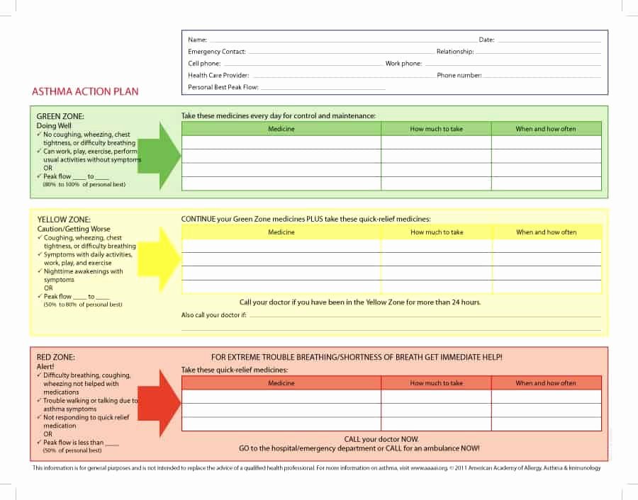 Action Planning Template Excel Unique 11 Free Action Plan Templates Word Excel formats