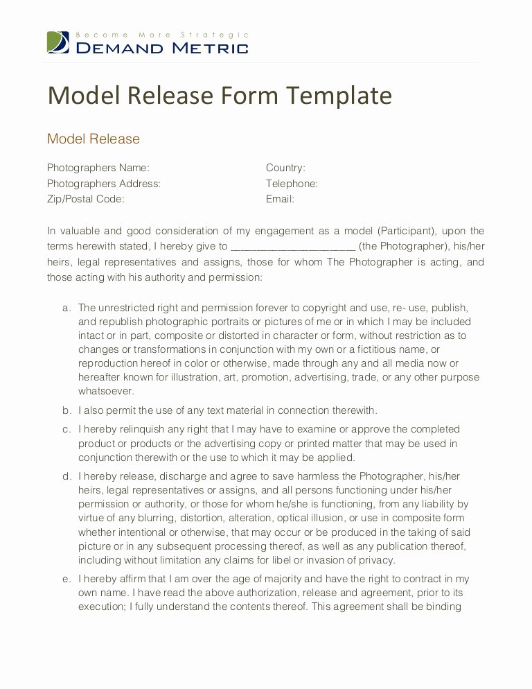 Artwork Release form Template Best Of Model Release form Template