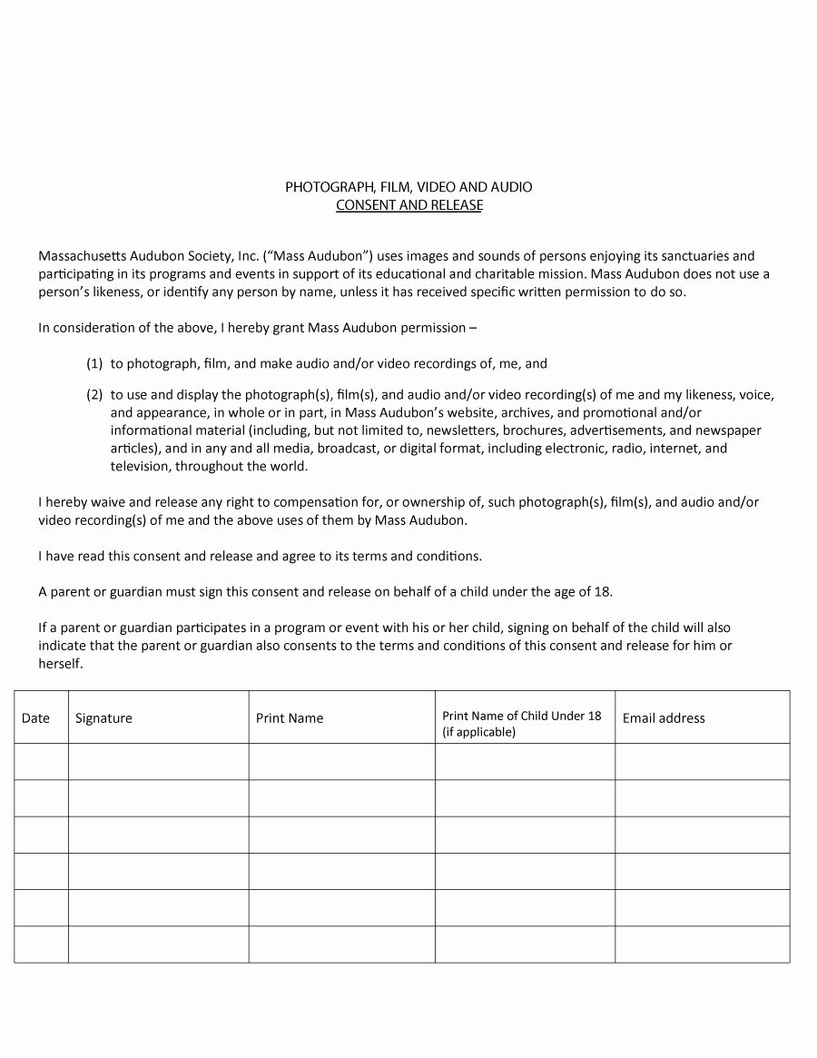 Artwork Release form Template Inspirational 53 Free Release form Templates [word Pdf