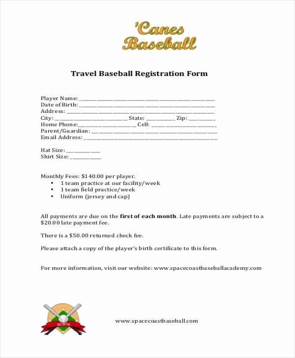 Baseball Registration form Template Inspirational Free 38 Registration form Templates