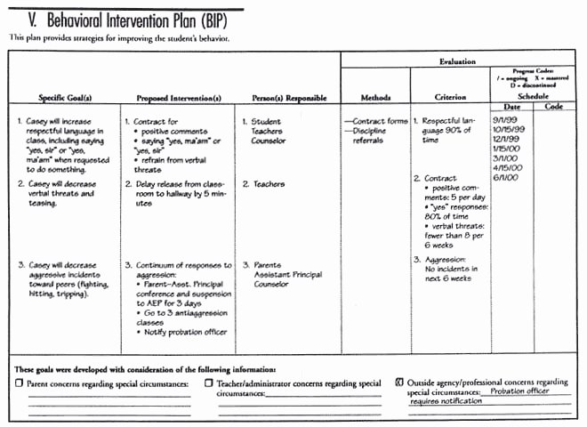 Behavior Action Plan Template Best Of 10 Behaviour Management Plan Examples Pdf