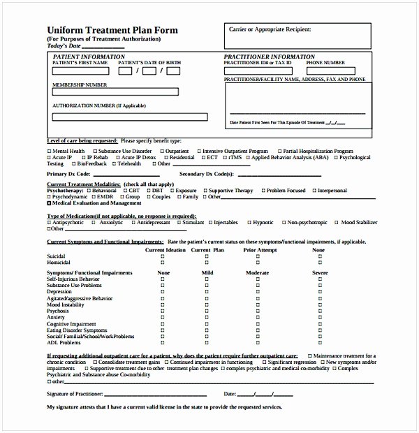 Behavioral Health Treatment Plan Template Awesome Counseling Treatment Plan Template Pdf