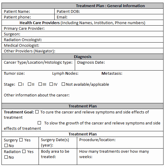 Behavioral Health Treatment Plan Template Lovely 38 Free Treatment Plan Templates In Word Excel Pdf