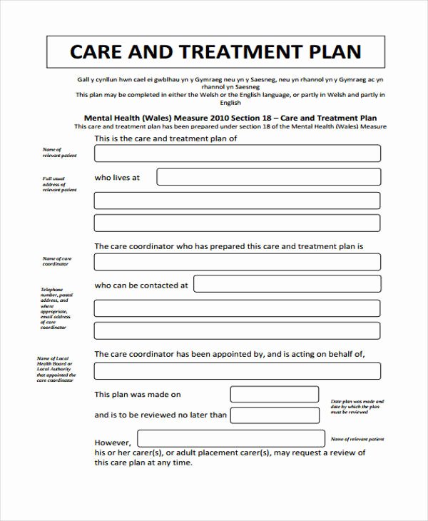 Behavioral Health Treatment Plan Template Luxury 30 Free Treatment Plan Templates