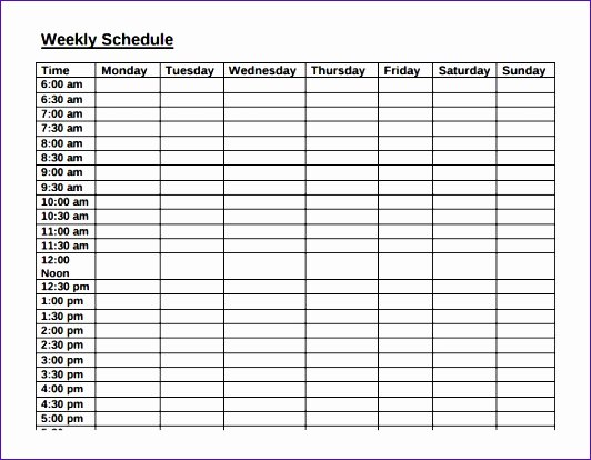 Bi Weekly Work Schedule Template Awesome 8 Weekly Time Schedule Template Excel Exceltemplates