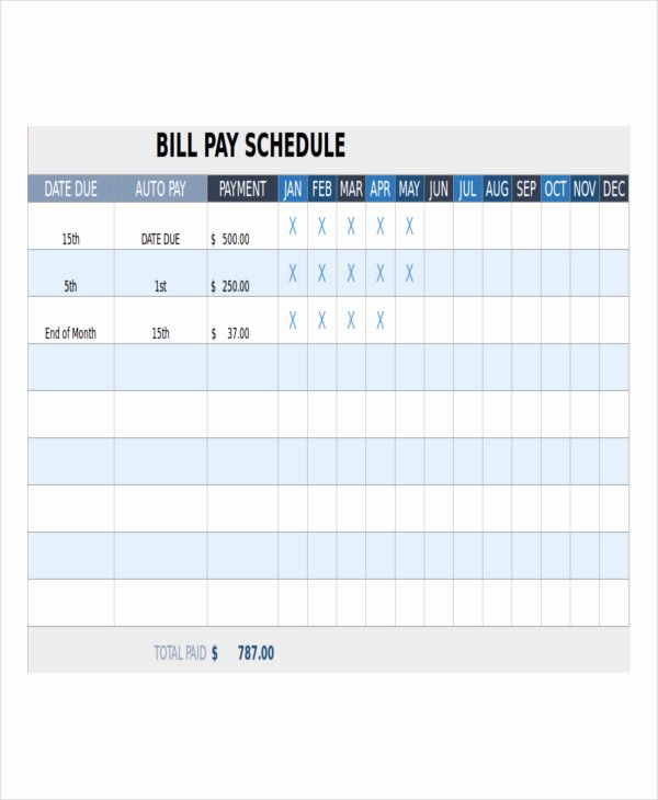 Bill Payment Schedule Template Excel Inspirational Bill Payment Schedule Template 13 Free Word Pdf format