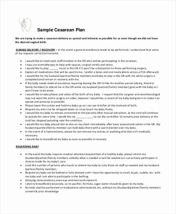 Birth Plan Template Pdf Awesome Birth Plan Template 17 Free Word Pdf Documents