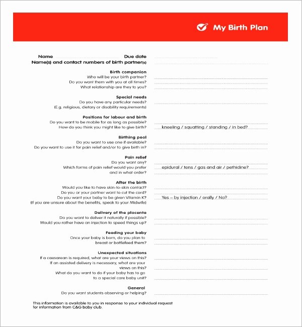 Birth Plan Template Pdf Best Of Free 23 Sample Birth Plan Templates In Pdf Word