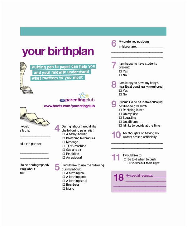 Birth Plan Template Pdf Fresh Birth Plan Template 17 Free Word Pdf Documents