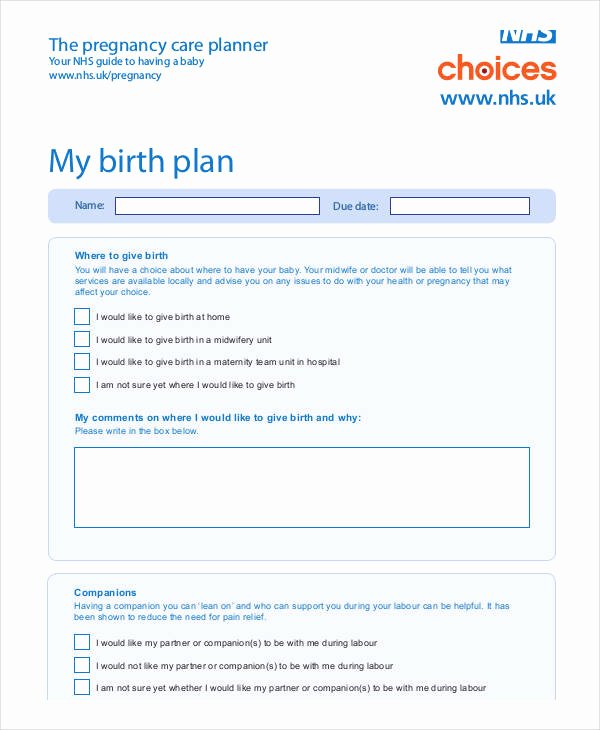 Birth Plan Template Pdf Lovely Birth Plan Template 17 Free Word Pdf Documents