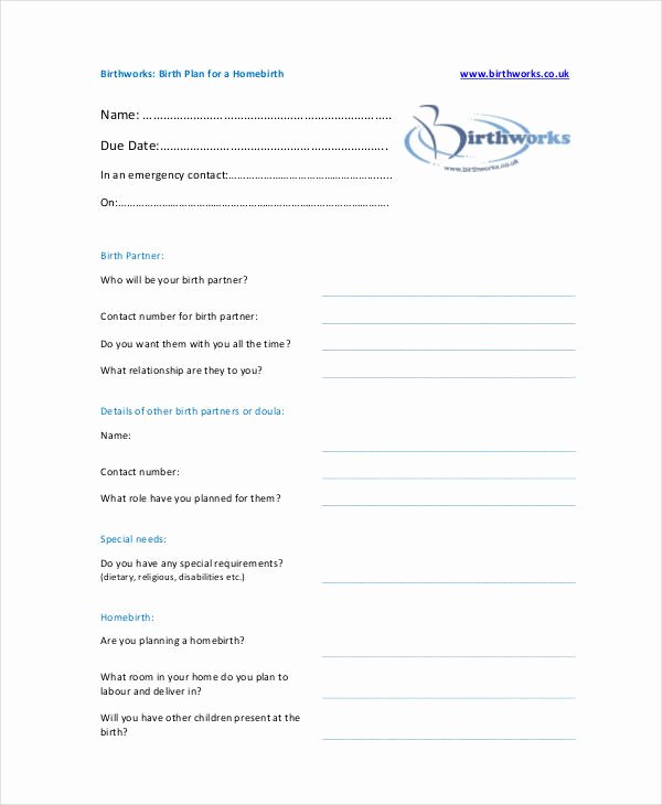 Birth Plan Template Pdf Luxury Birth Plan Template 17 Free Word Pdf Documents