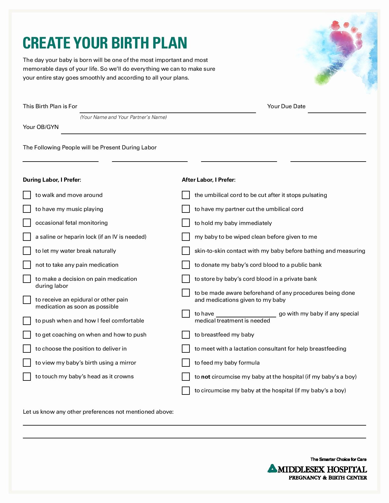 Birth Plan Template Pdf Luxury Birth Plans