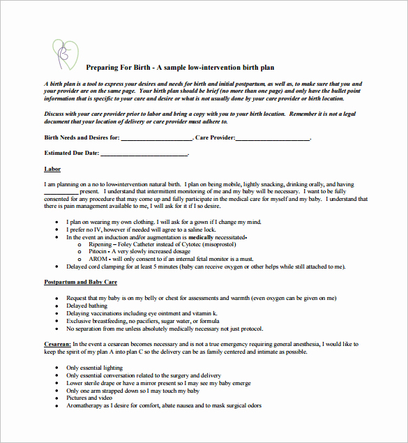 Birth Plan Template Pdf New Birth Plan Template 10 Free Pdf Word Documents