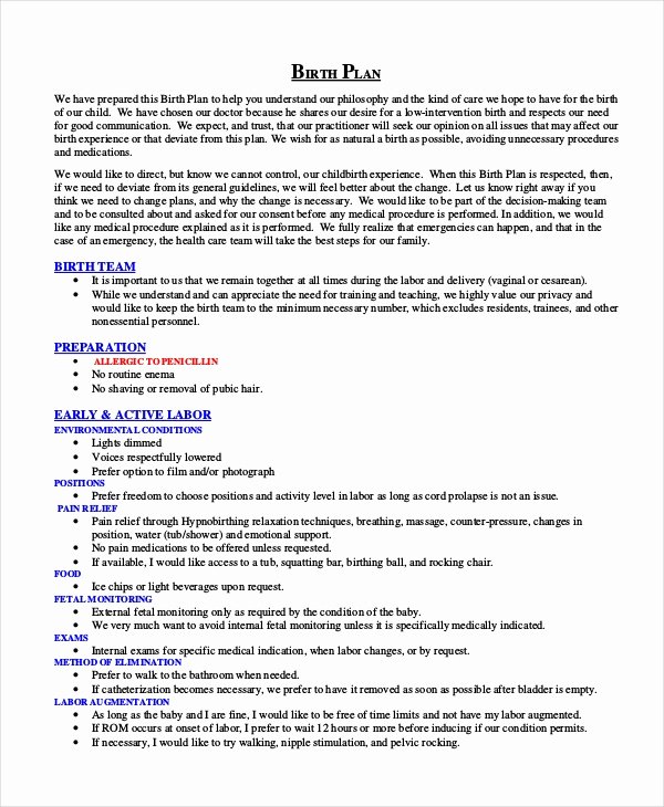 Birth Plan Template Pdf New Birth Plan Template 11 Free Word Pdf Documents