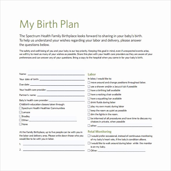 Birth Plan Template Pdf New Free 23 Sample Birth Plan Templates In Pdf Word