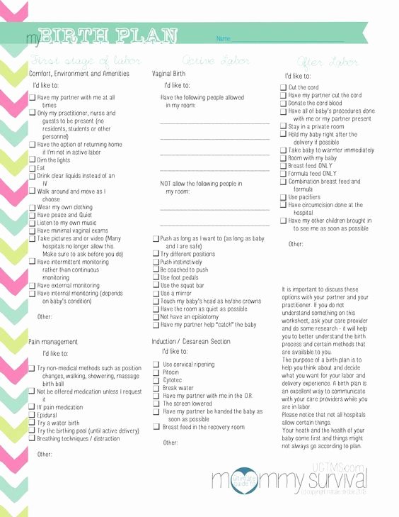 Birth Plan Template Pdf Unique Free Birth Plan Printables Mommy Survival …