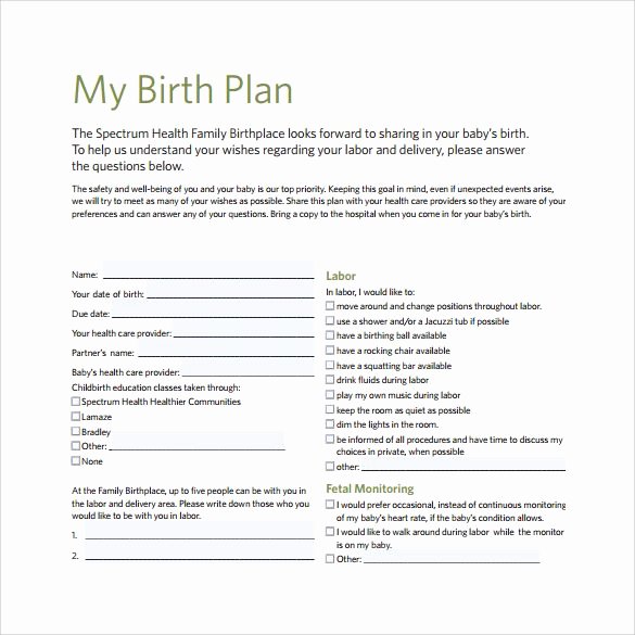 Birth Plan Template Word Awesome Birth Plan Preferences Template Babies